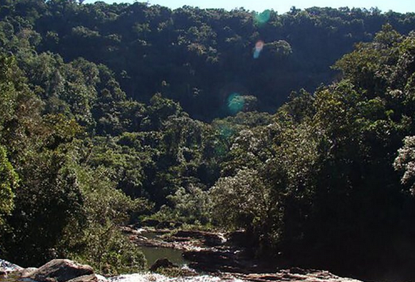 Projeto vai restaurar 164 hectares do Parque Estadual do Jurupará