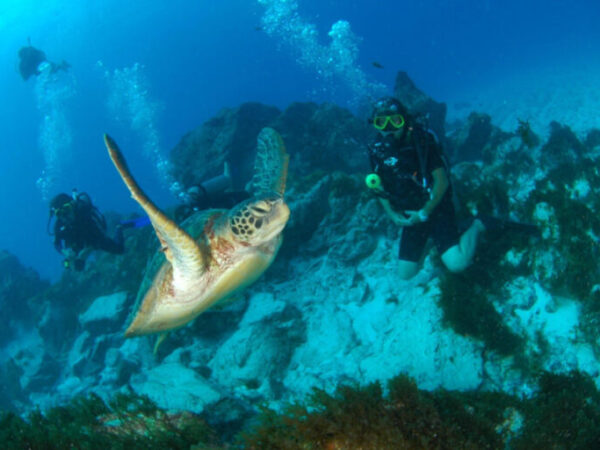 Pesquisa em Fernando de Noronha demonstra importância da geoconservação marinha