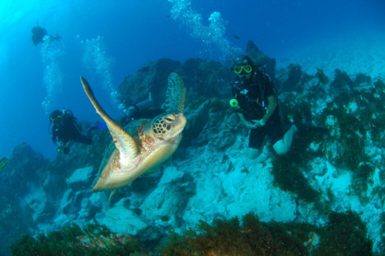 Pesquisa em Fernando de Noronha demonstra importância da geoconservação marinha