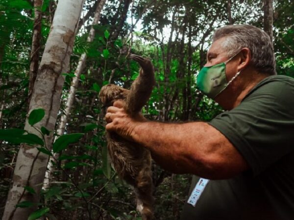 Animais retornam à natureza em PE. É para isso que centros de triagem e reabilitação existem