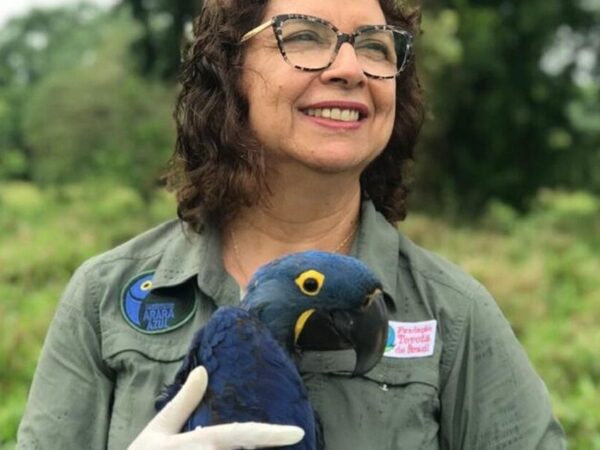 A brasileira que salvou as araras-azuis da extinção e entrou para o Hall da Fama das Mulheres Cientistas da ONU