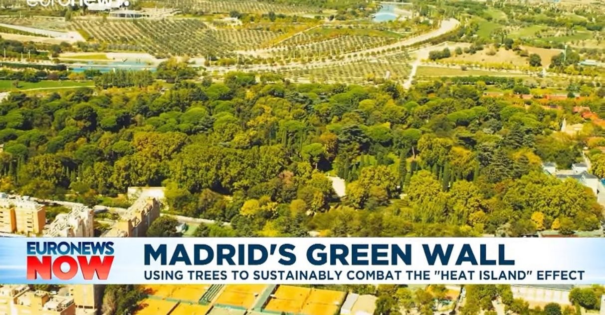 Madri está plantando 500 mil árvores e criando ‘Mar Verde’ para absorver CO2 e reduzir temperatura