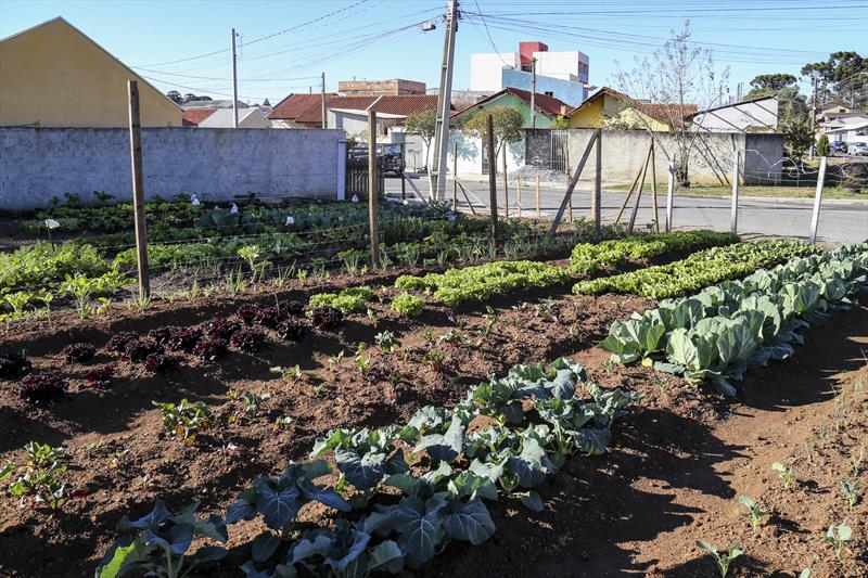 Moradores de bairro em Curitiba (PR) se unem para transformar terreno baldio em horta comunitária