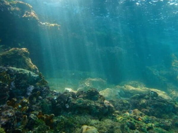 A “zona morta” do Oceano Pacífico é real e está crescendo