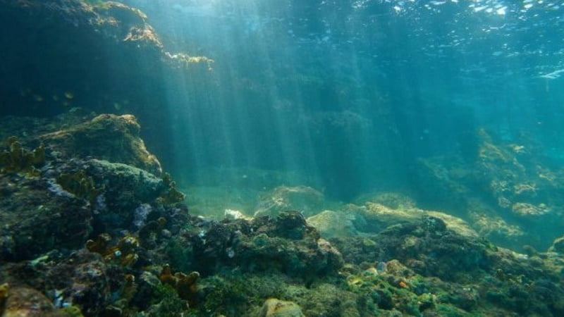 A “zona morta” do Oceano Pacífico é real e está crescendo