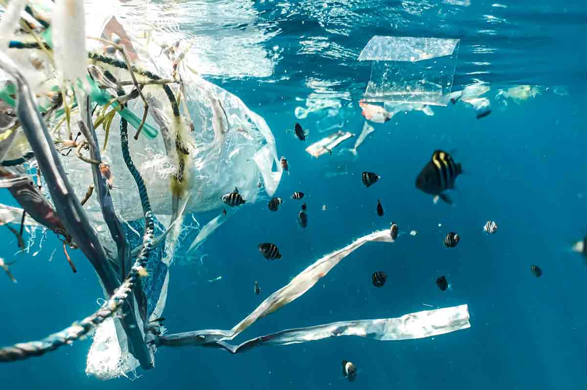 Plástico descartável do delivery é o que mais polui os oceanos, revela pesquisa