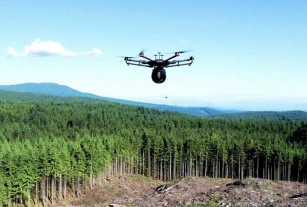 Estes drones plantarão 1 bilhão de árvores em 8 anos