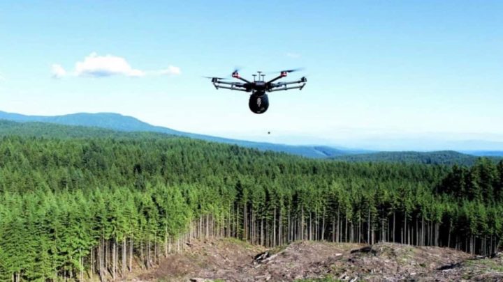 Estes drones plantarão 1 bilhão de árvores em 8 anos