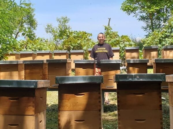 Fazenda na Croácia oferece “hotel” para abelhas