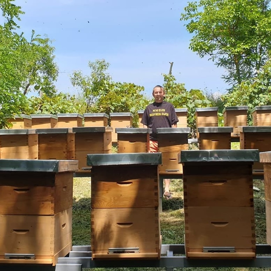 Fazenda na Croácia oferece “hotel” para abelhas