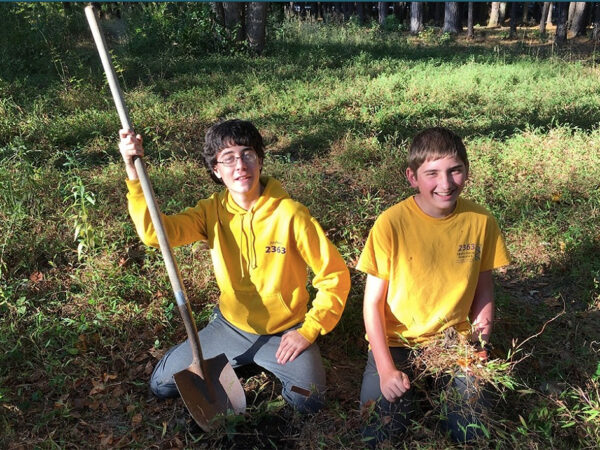 Adolescentes plantam 20 km de jardins para abelhas