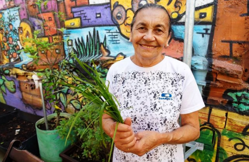 AgroFavela: contra fome, projeto implementa horta de 900m² na 2ª maior favela de SP
