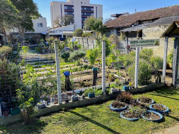 Em Curitiba, horta cultivada só por mulheres distribui verduras a famílias que vivem na mais antiga favela da cidade