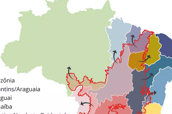 Cerrado é fundamental para evitar racionamento de água e energia no Brasil; entenda elo com a crise atual