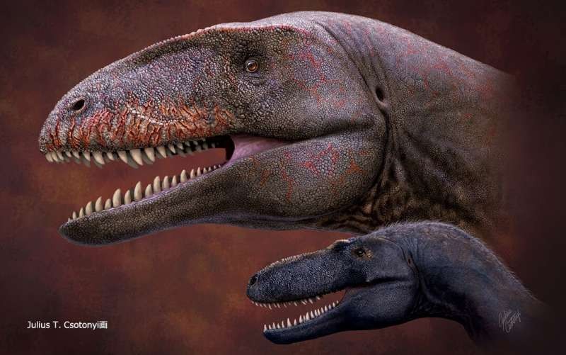 Superpredador que antecedeu Tiranossauro Rex é descoberto no Uzbequistão