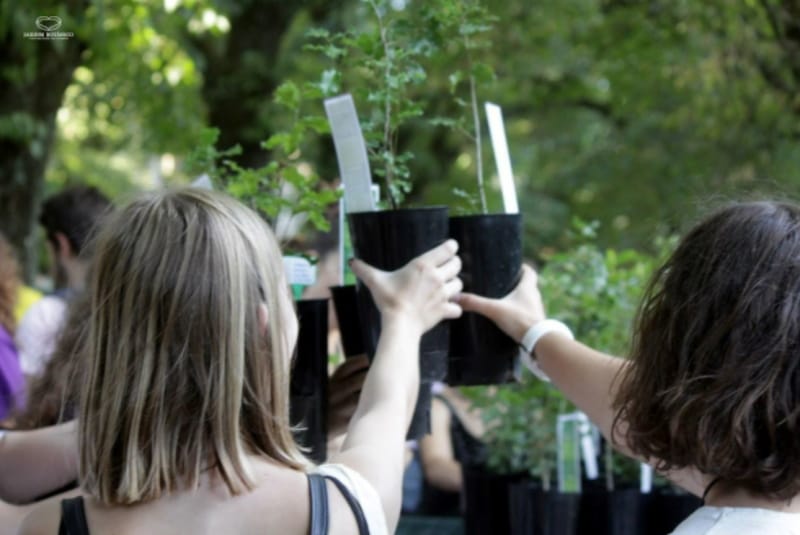 Universidade de Coimbra convida estudantes a cuidar de uma árvore durante o ano letivo