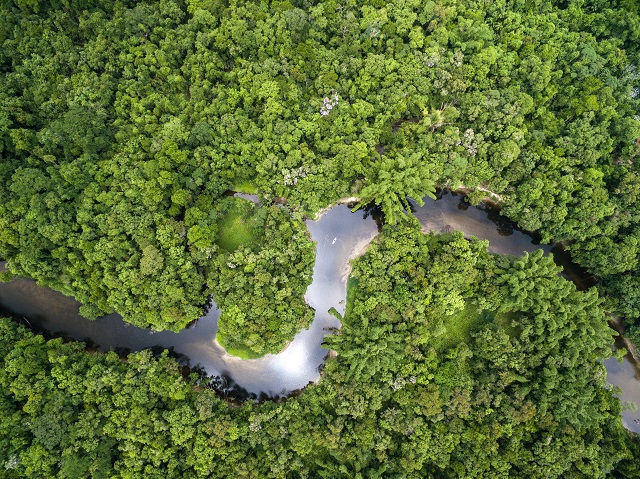 Path Amazônia terá ingresso colaborativo e mais de 70 horas de conteúdo online com foco na regeneração do planeta