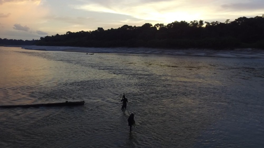 Técnica possibilita estudar peixes da Amazônia sem capturar animais