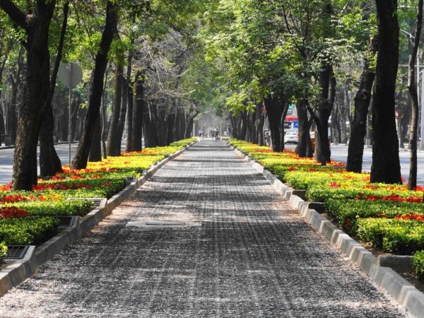 Pesquisadores lançam e-book sobre paisagens verdes urbanas