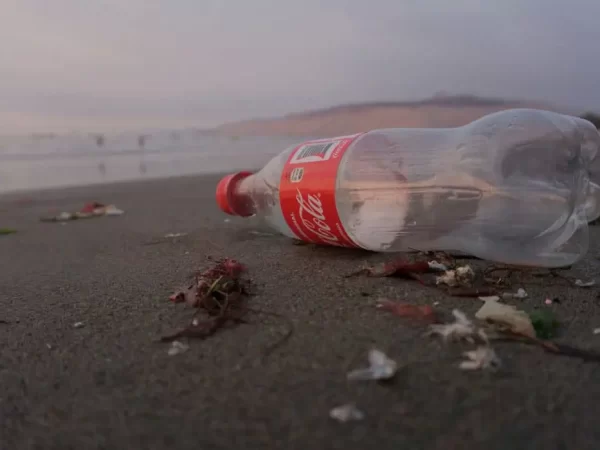 Coca-Cola é o lixo mais comum nessas praias