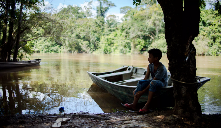 Unidades de conservação melhoram condições de ribeirinhos na Amazônia