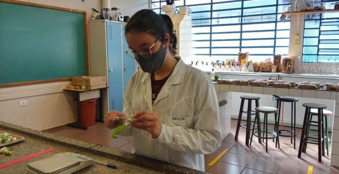 Estudante desenvolve receita orgânica caseira para substituir agrotóxicos