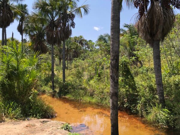 Casal cearense cria duas unidades de conservação na Caatinga