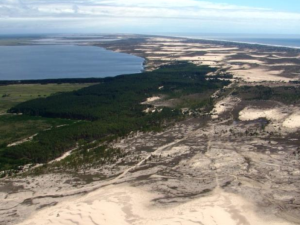 País perdeu 15% de faixa de areia em dunas e praias desde 1985, diz estudo