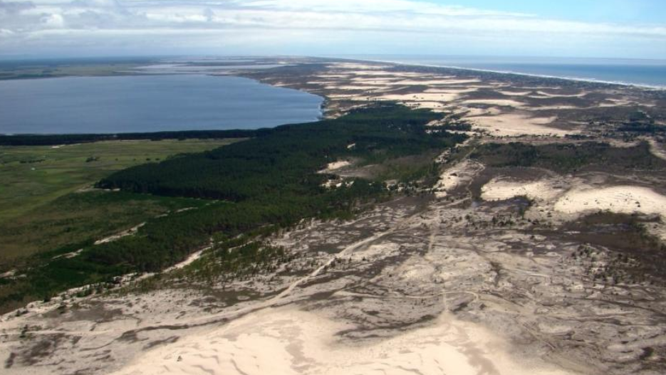 País perdeu 15% de faixa de areia em dunas e praias desde 1985, diz estudo