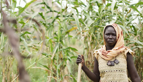 Mudanças climáticas podem reduzir 80% da agricultura africana até 2050