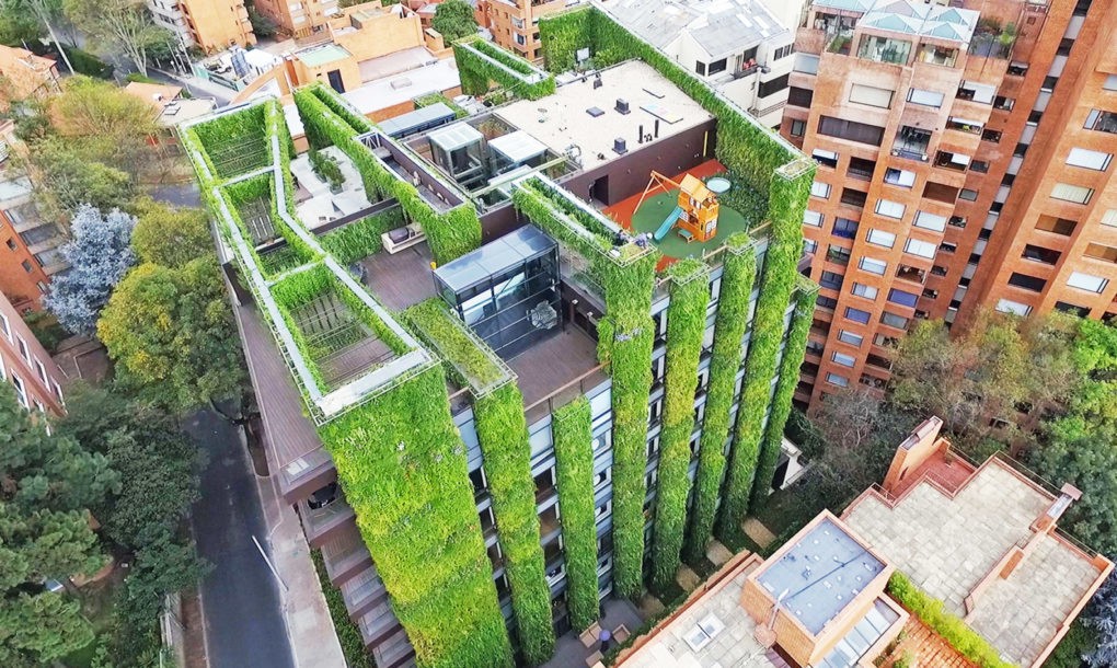 Maior jardim vertical do mundo fica na Colômbia e abriga mais de 85 mil plantas