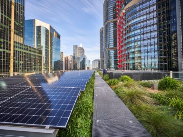 Tetos verdes tornam painéis solares mais eficientes, revela estudo