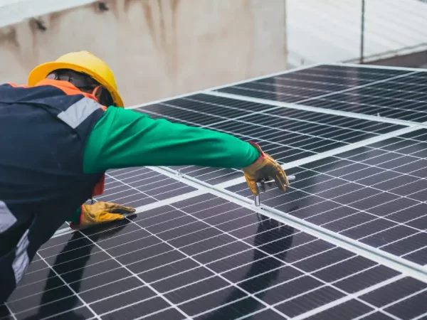 Painéis solares abrigam microrganismos com potencial aplicação biotecnológica