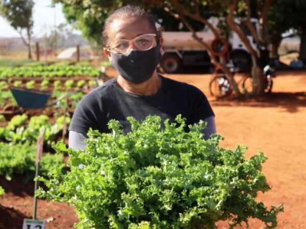 Agora é lei! Em Goiás, terrenos baldios são transformados em hortas comunitárias onde é proibido usar agrotóxicos