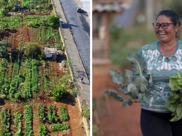 Horta comunitária de 24 km gera renda e alimenta 800 pessoas carentes em Sete Lagoas (MG)