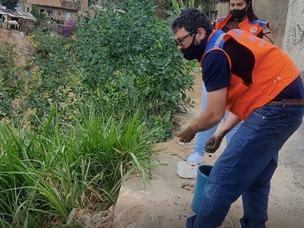 Cidade mineira usa sementes de leguminosas para combater erosão