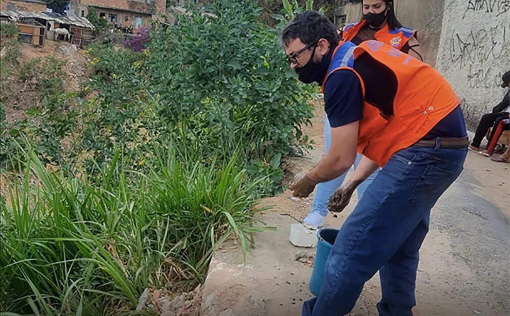 Cidade mineira usa sementes de leguminosas para combater erosão