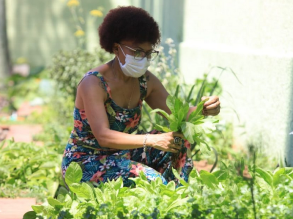 Entidade social transforma quintal em horta orgânica