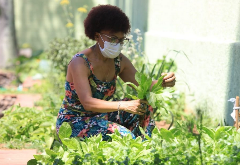 Entidade social transforma quintal em horta orgânica