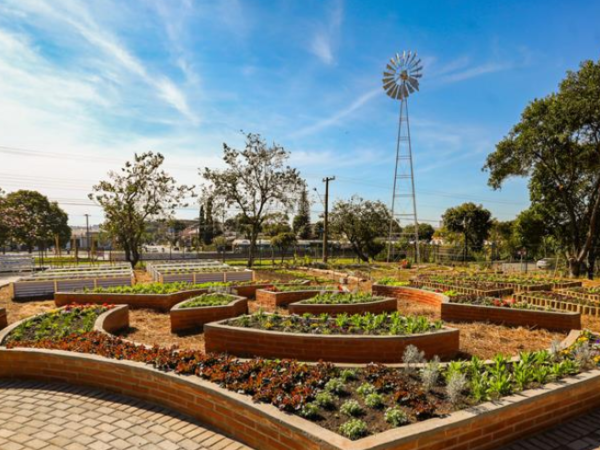 Fazenda Urbana vence prêmio nacional de design em inovação e bem-estar