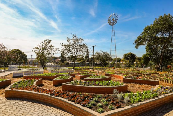 Fazenda Urbana vence prêmio nacional de design em inovação e bem-estar