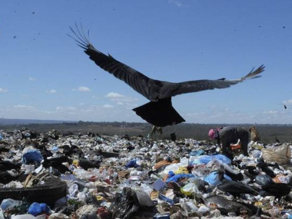 Com avanço lento na reciclagem, 50% das cidades ainda têm lixões