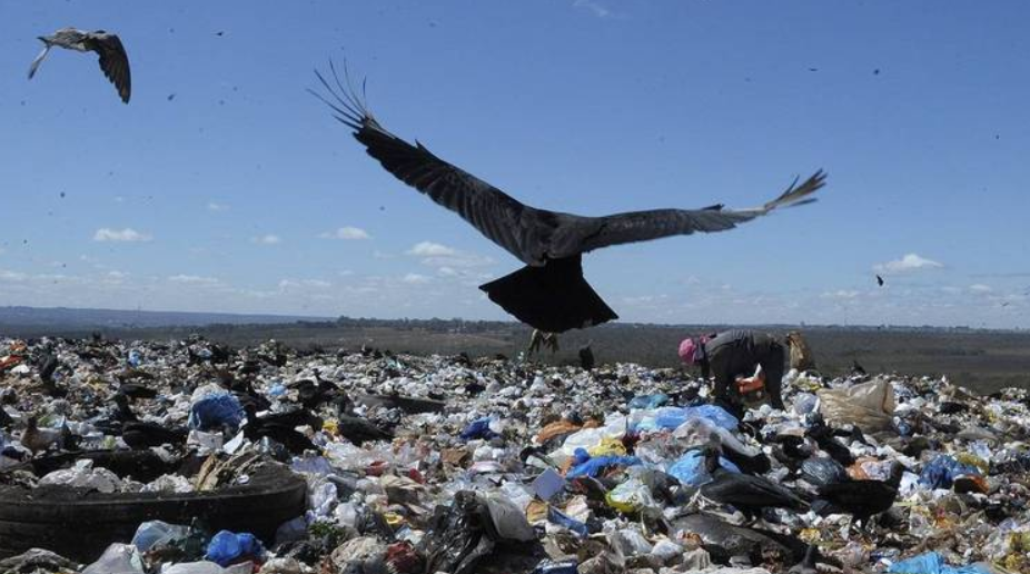 Com avanço lento na reciclagem, 50% das cidades ainda têm lixões