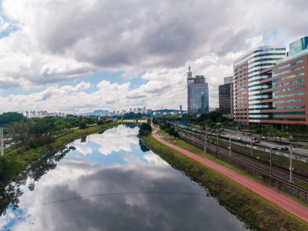 Prefeitos definirão a faixa de proteção das matas ciliares nas cidades