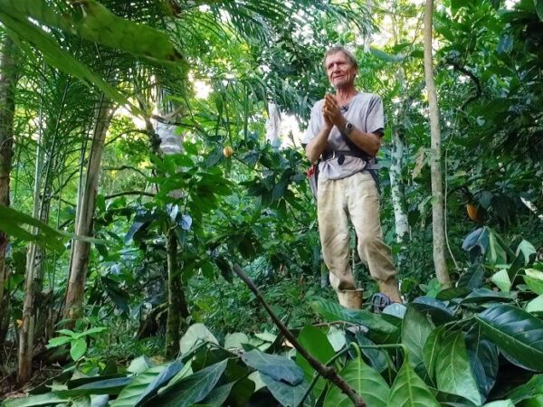 Suíço transforma área de pasto degradada na Bahia em floresta de 500 hectares – e recupera nascentes na região