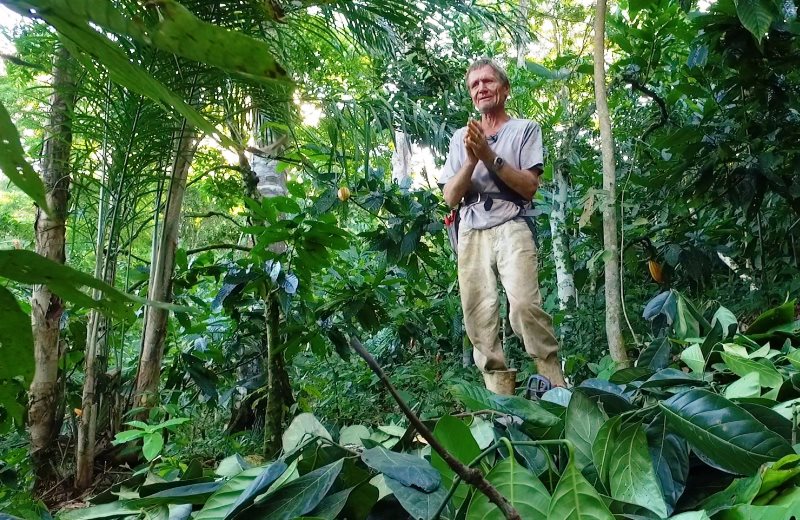 Suíço transforma área de pasto degradada na Bahia em floresta de 500 hectares – e recupera nascentes na região