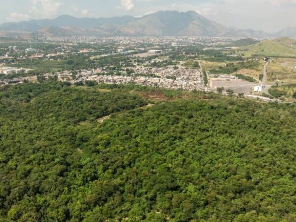 Agora é oficial: a Floresta do Camboatá está protegida