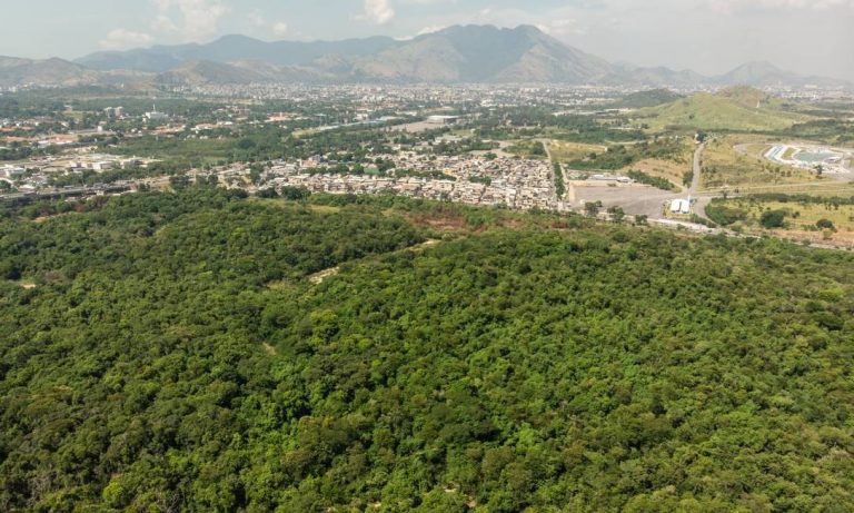 Agora é oficial: a Floresta do Camboatá está protegida