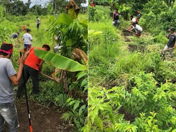 Com drones e Inteligência Artificial, indígenas estão combatendo o desmatamento na Amazônia