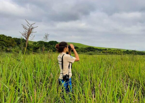 Monitoramento na Lagoa da Turfeira registra 41 espécies de aves